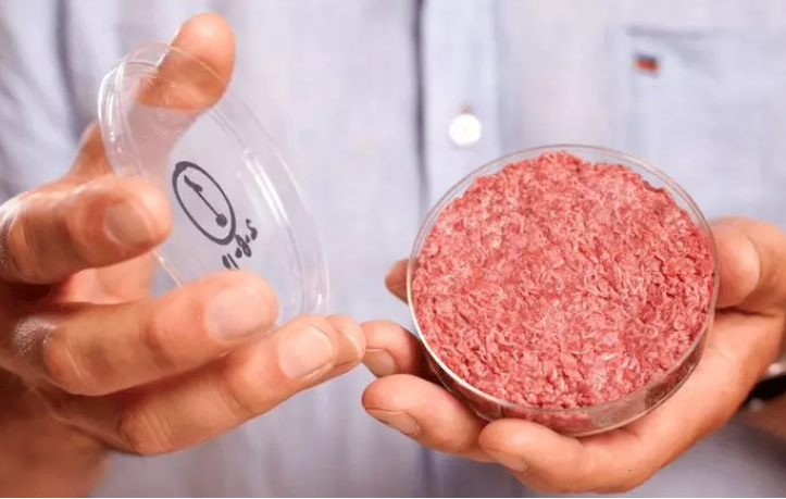 Carn-in-vitro-futur-proteina-animal